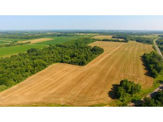 TRACT 14 - ILLINOIS LAND AUCTION - 4,810+/- ACRES OFFERED IN 85 TRACTS IN FRANKLIN, WILLIAMSON, HAMILTON & SALINE COUNTIES, ILLINOIS